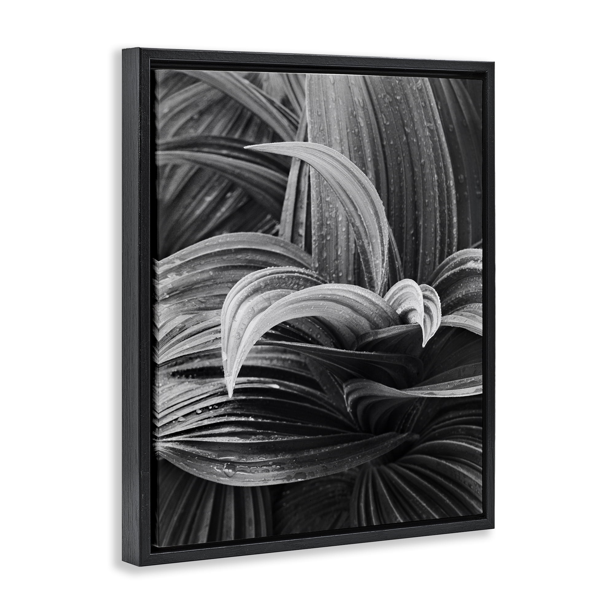 Stupell Industries Wet Leaves Detail Botanical & Floral Photography Black Floater Framed Art Print Wall Art, 17 x 21