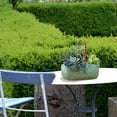 thumbnail image 3 of MesaSe Ceramic Plant Pot Rattan Handheld Succulent Pots Planter For All Indoor Plants Flowers, 3 of 9
