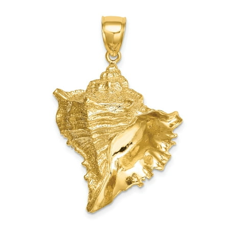 14k Yellow Gold Conch Shell Pendant Necklace for Women or Unisex, Textured Nautical Jewelry, Coastal Sea Life Charm, Tropical Ocean Style Accessory