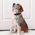 thumbnail image 3 of Extra Loud Pair Of Cat And Dog Bells Brass Bells For Pets Collar Charm Pendant, 3 of 3