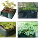 thumbnail image 3 of Bolsa de jardinera 60 * 60 * 25 cm 4 Bolsa de jardinera cuadrada de malla dividida Maceta de cama elevada Maceta para flores Plantas vegetales - Verde TUNC Sencillez, 3 of 5