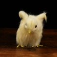 thumbnail image 4 of Pollito amarillo esponjoso con sonido que simula alas extendidas realistas Regalo para niños Juguete de peluche Pollo en miniatura Modelo estático de enseñanza Decoración realista para el es, 4 of 4