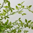 thumbnail image 7 of 1 Pcs Nandina Artificial Greenery Stem, Artificial Plant Leaves Bunches, Green Nandina Faux Branches for Vase,Artificial Plants for Shop Garden Office Home Décor 43.31", 7 of 7
