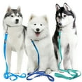 azuza 3 Pack Nylon Dog Leashes Strong & Durable Basic Leash 4/5/6 FT
