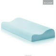 Z Gel Dough Memory Foam Contour Pillow