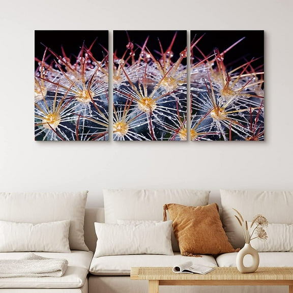 PixonSign Canvas Print Wall Art Set Pink and Purple Close-Up Cactus Floral Wilderness Photography Realism Southwest Dramatic Multicolor Dark for Living Room, Bedroom, Office - 24"x36"x3