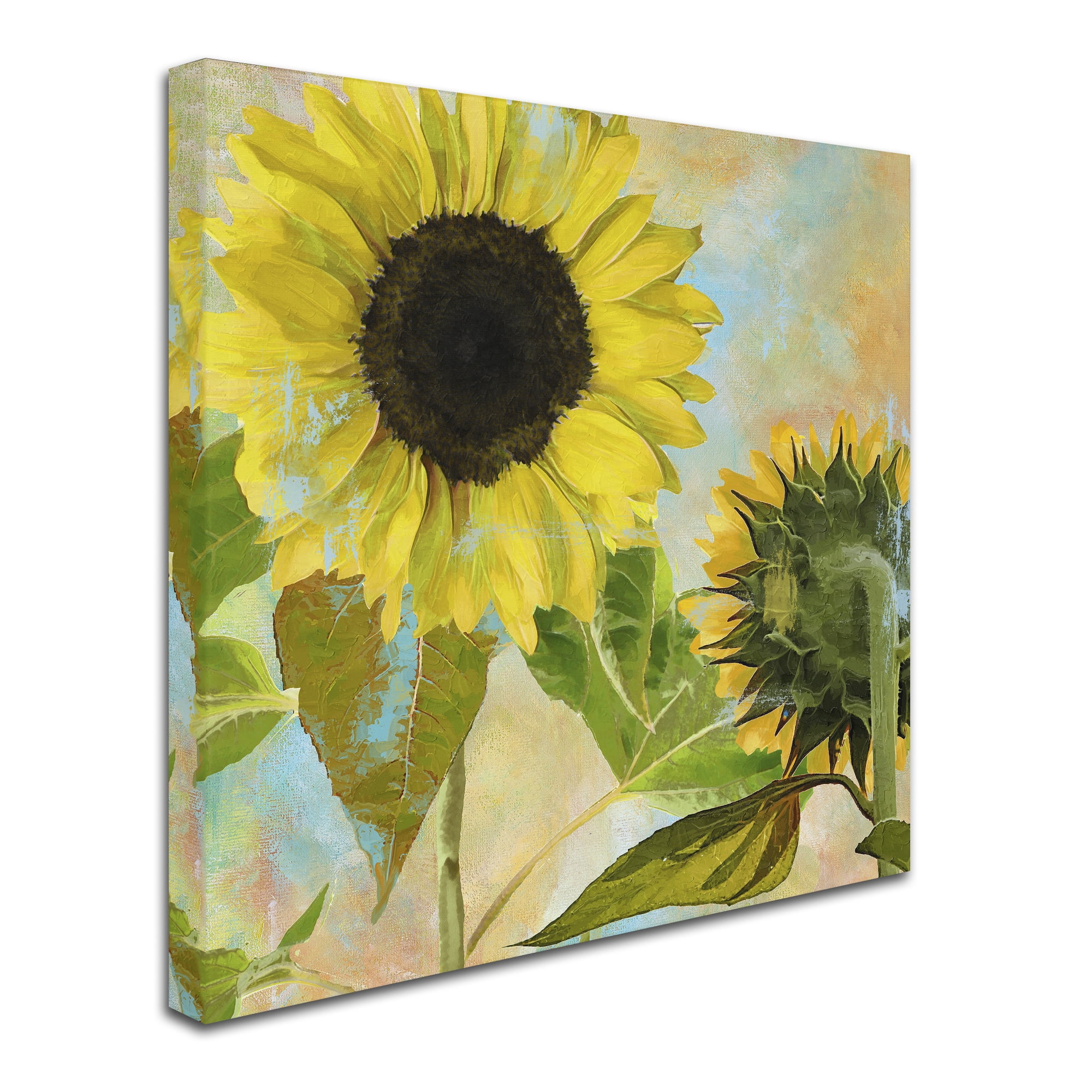 Trademark Fine Art "Soleil I" Canvas Art by Color Bakery