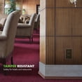 thumbnail image 2 of Enerlites 61501-TR, 15 A 125 V Brown Decorator Receptacle Electrical Outlet 10 Piece, 2 of 4