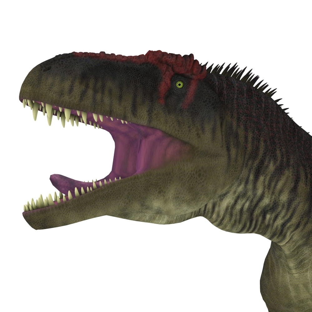 Tyrannotitan dinosaur head Poster Print by Corey FordStocktrek Images - Walmart.com