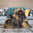 thumbnail image 2 of COMIO Otter Blanket and Throws Blankets Decorative for Adults and Kids Design Pretty Gift Home Decorative Living Room Sofa Hug Plush Soft Bedroom Cozy Blanket, 2 of 6