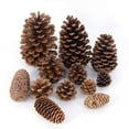 thumbnail image 2 of 1-10 piezas de piñones naturales, frutas secas, flores artificiales, piñas para Navidad, guirnalda de bricolaje, decoración de fiesta de Feliz Navidad, 2 of 5