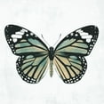 thumbnail image 3 of Grey, Jace 12x12 Black Modern Framed Museum Art Print Titled - Neutral Butterfly, 3 of 5