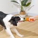 thumbnail image 4 of Juguete para perros Juguete masticable indestructible para masticadores agresivos, 4 of 5