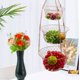 thumbnail image 1 of Cesta de flores de tres capas, cesta colgante de alambre, cesta de frutas, cesta de alambre de imitación de oro, cesta colgante de tres capas, cesta de frutas, cesta colgante plegable, cesta de frutas, 1 of 4