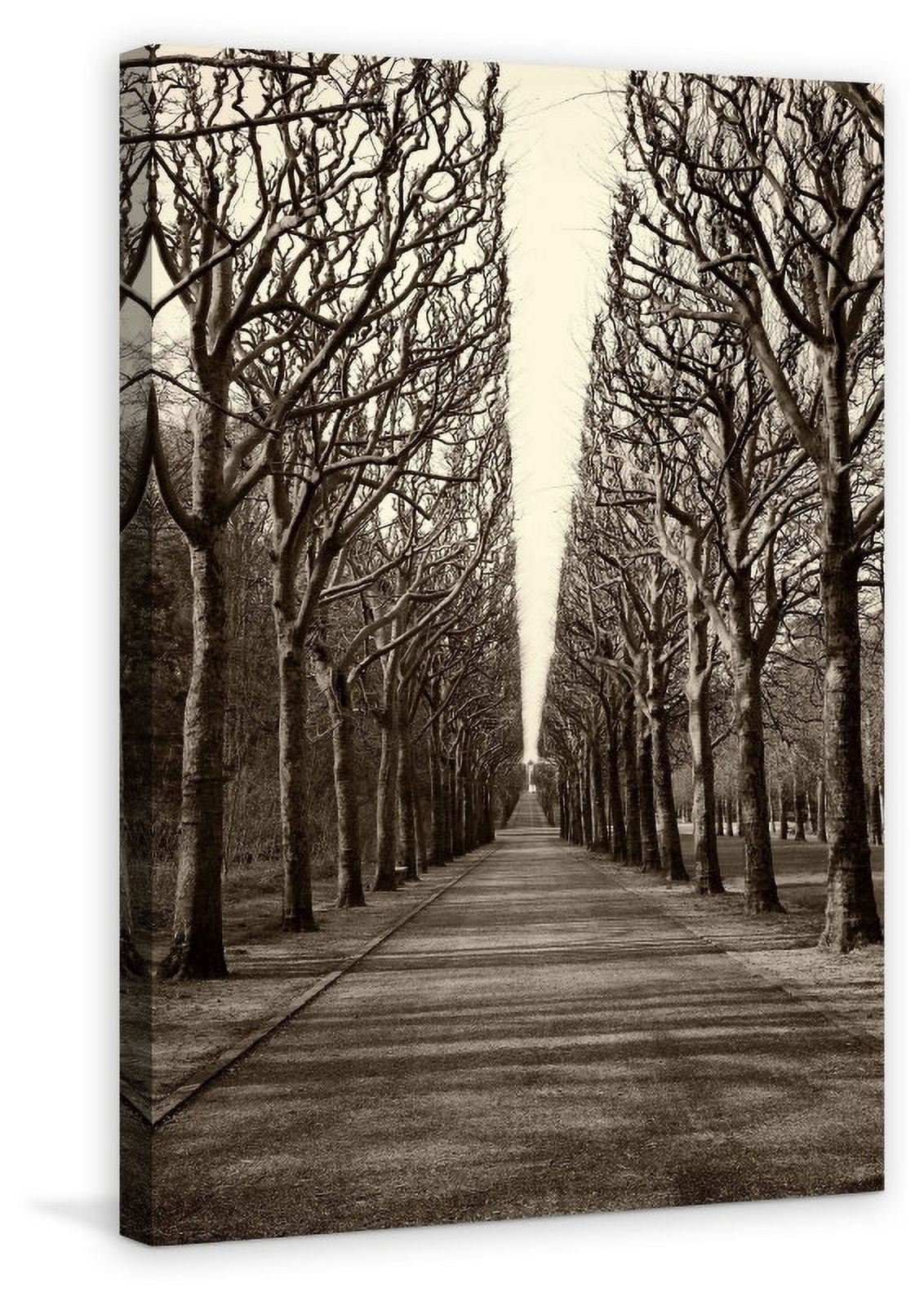 "Tree Alley" Painting Print on Wrapped Canvas