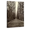 thumbnail image 6 of "Tree Alley" Painting Print on Wrapped Canvas, 6 of 7