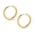 thumbnail image 1 of 2 unid/set de pendientes de aro pequeños de acero inoxidable para mujeres y hombres, Color dorado, círculo negro, anillo de oreja grueso, pendientes Huggie, Piercing de aro Tan Jianjun unisex, 1 of 2