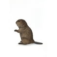 thumbnail image 6 of AMERICAN BEAVER CUB STANDING STATUE, 6 of 7