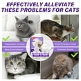 thumbnail image 5 of Cat Calming Diffuser, Soothes Pet Diffuser, Relieves Anxiety, Reduces Barking Aggression and Fights Stress, 5 of 9