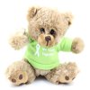 Lime Green Awareness Teddy Bear