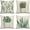 Plant, variant on Throw Pillow Covers Home Decor Set of 4 Pillow Cases Decorative 18 x 18 Inches Cushion Couch Sofa Pillowcases House Plants Watercolor Greenery Succulents