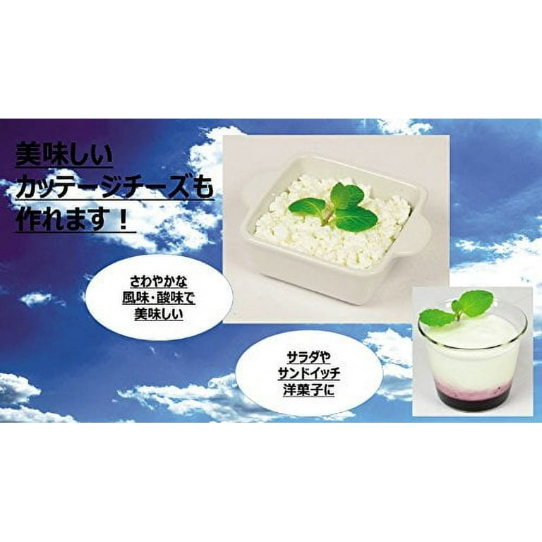 Yogurt best sale maker japan