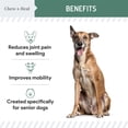 thumbnail image 6 of Chew + Heal Senior Dogs Mobility Soft Chews - 60 Ct. - Made with Glucosamine, MSM, Chondroitin, Green Lipped Mussels and More, 6 of 9