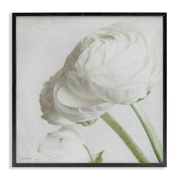 Stupell Industries Charming White Peony Botanical & Floral Painting Black Framed Art Print Wall Art, 12 x 12