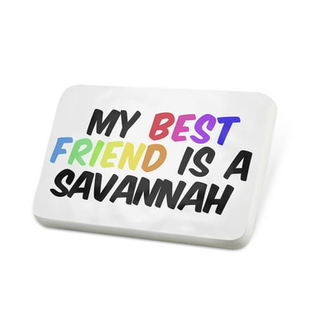 Porcelein Pin My best Friend a Savannah Cat from United States Lapel Badge – (Best Pralines In Savannah)