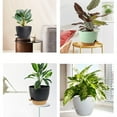 thumbnail image 2 of golytefs 5Pcs Self Watering Planters with Drainage Hole Plastic Plant Pots for Home Decor, 2 of 9