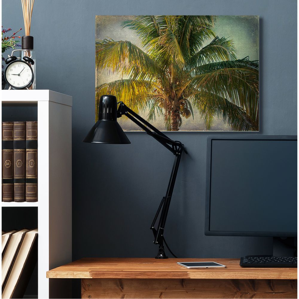 Stupell Industries Distressed Tropical Summer Palm Tree Frond Photograph Designed by Ashley Calhoun