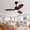 Black+Dark Walnut+Solid Wood2, variant on LHYY 36"Wood Ceiling Fan with Lights Remote Control,Quiet DC Motor 3 Blade Ceiling Fans for Patio Living Room,Bedroom,Office,Indoor Outdoor(Black+Dark Walnut)