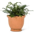 thumbnail image 2 of Abbott Collection Home Medium Round Ruffled Planter, 2 of 4