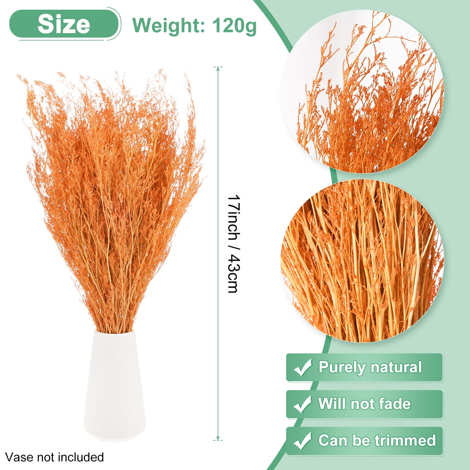 Uxcell Dried Flowers Bouquet 17" Dry Limonium Flower Bundle [Orange, 120g]