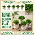 thumbnail image 2 of Artificial Potted Plant Faux Greenery Tabletop Decor for Home Office Shelf Desk Bathroom Living Room Nightstand Accents Ornaments Lifelike Foliage, Fade Proof Artificial Plant, 2 of 7