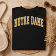 thumbnail image 2 of Notre Dame Cathedral Travel Inspired Graphic T-Shirt, 2 of 6
