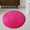 thumbnail image 3 of Dvruxg Soft Coral Velvet Carpet, Non-Slip Floor Mat, Multi-Purpose Area Rug, Machine Washable Doormat, 3 of 4