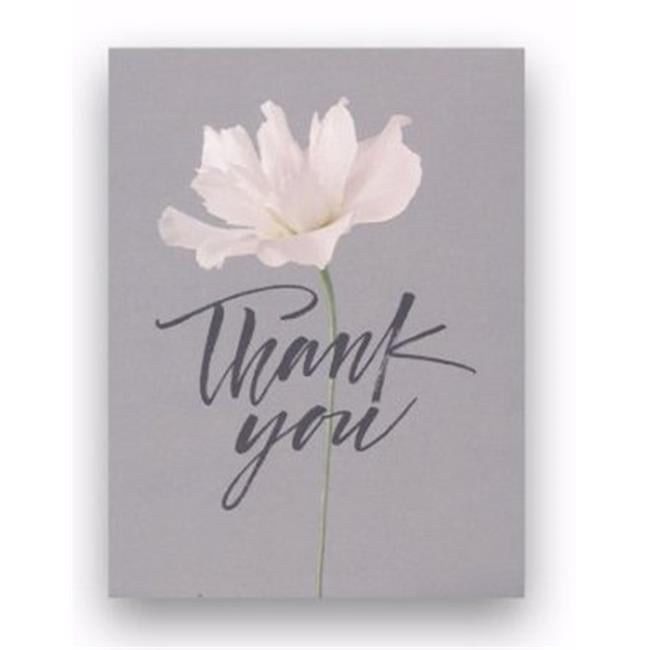 Dayspring Cards 151482 Thank You Note Card Rose & Gray, Pack of 10