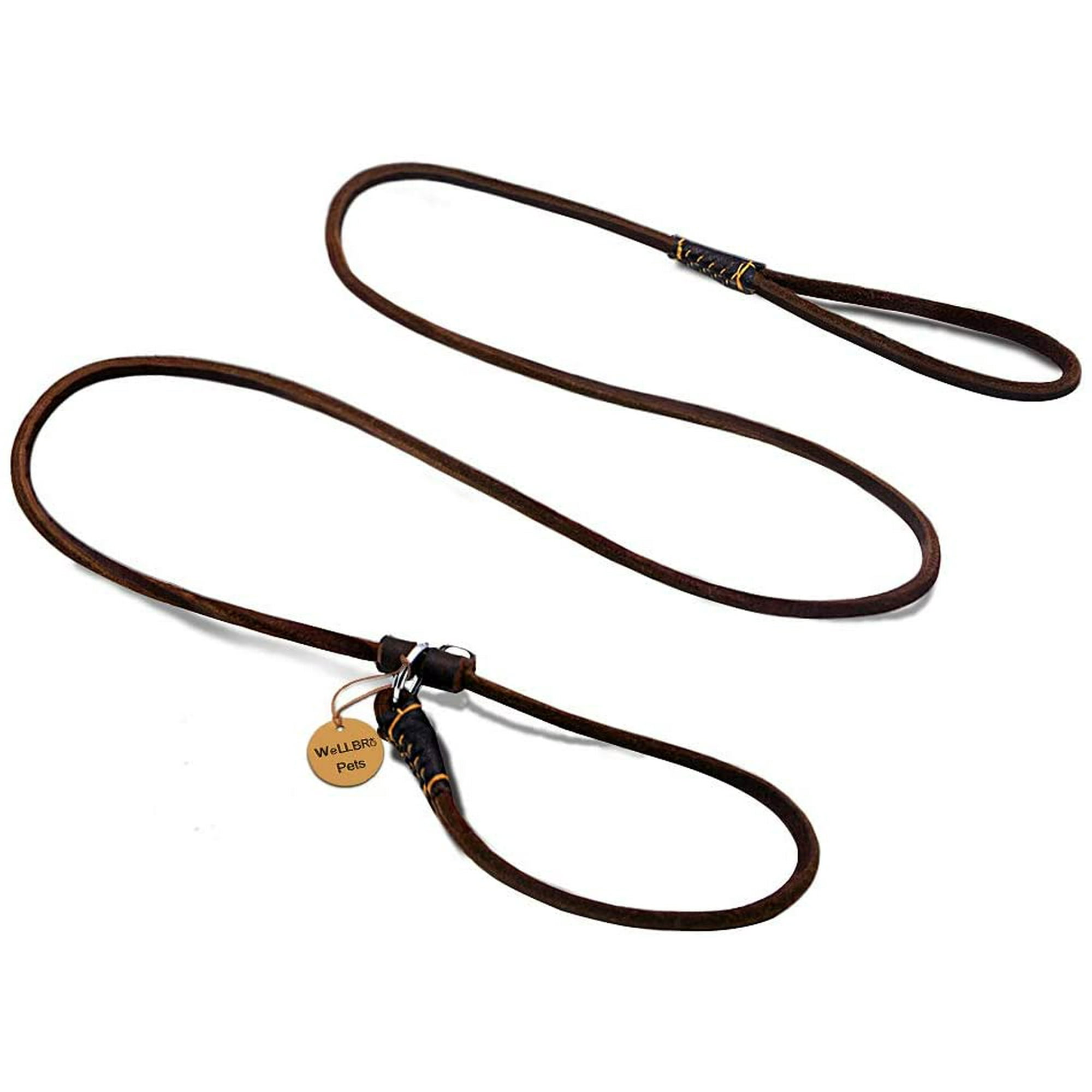 Are Slip Leads Good For Dogs