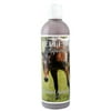 Jeffers Medicated Shampoo for Horses | Antibacterial & Antifungal Horse Shampoo | Equine Hair Care Shampoo Treatment |16oz