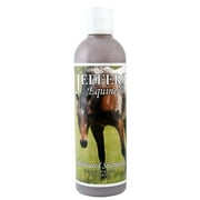 Jeffers Medicated Shampoo for Horses | Antibacterial & Antifungal Horse Shampoo | Equine Hair Care Shampoo Treatment |16oz