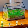 thumbnail image 6 of NCYP House Shape Glass Terrarium with Acrylic Lid - 10.2x5.9x8.2 Inches Large Geometric Box for Snails, Ferns, Succulents, Air Plants, Indoor Tabletop Decor, Handmade (Terrarium Only), 6 of 9
