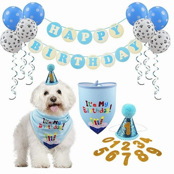 Dog Birthday Party Set, Bib & Hat, Blue