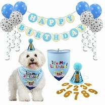 Dog Birthday Party Set, Bib & Hat, Blue