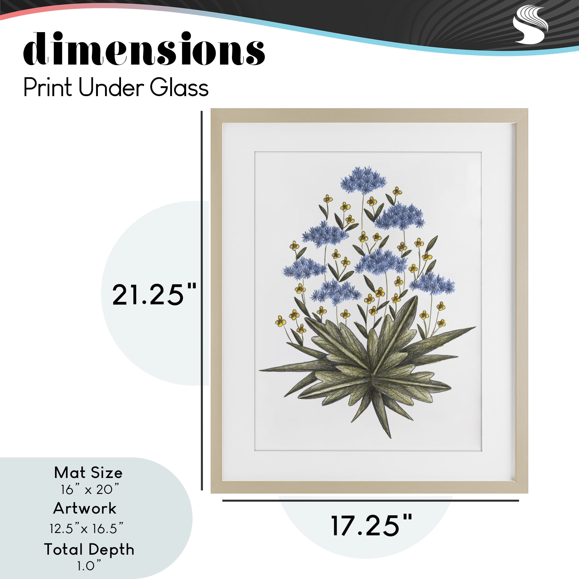 Where Wild Flowers Bloom Birch Framed Print Under Glass, design by Cecilia Battaini