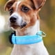 thumbnail image 1 of Collares para perros iluminados El collar para perros LED hace que sus queridos perros sean vistos por la noche, 1 of 7
