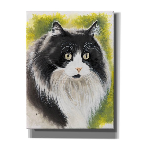 Epic Graffiti 'Maine Coon 2' by Barbara Keith, Canvas Wall Art, 12"x16"