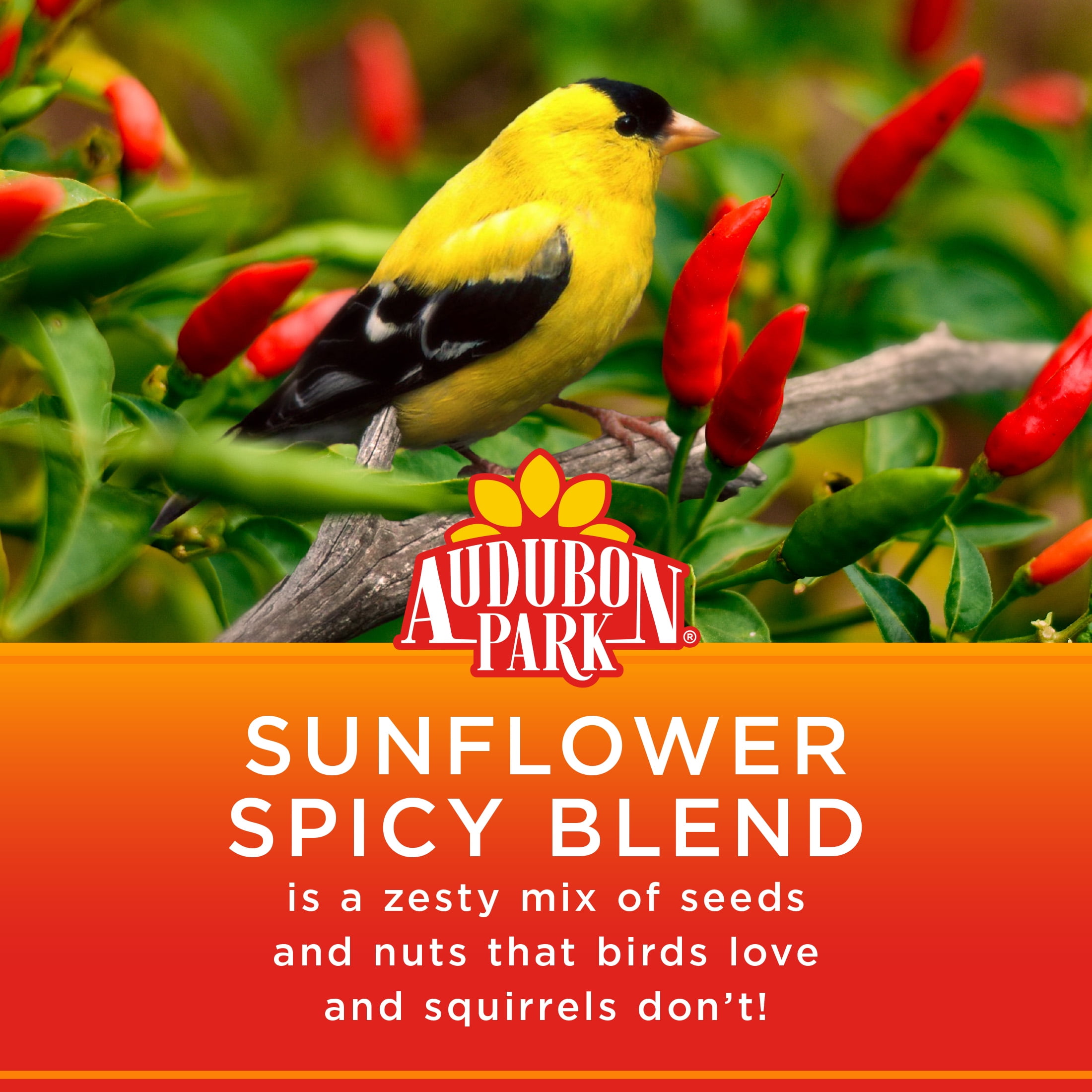 Audubon Park Sunflower Spicy Blend Wild Bird Food, Dry, 1 Count per Pack, 5 lb. Bag
