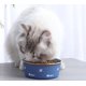 thumbnail image 5 of Cuenco para gatos, plato de comida para gatos montado en la pared, cuenco de agua y comida para gatos, cuenco para mascotas de acero inoxidable, cuenco de comida para mascotas antideslizante sin, 5 of 5
