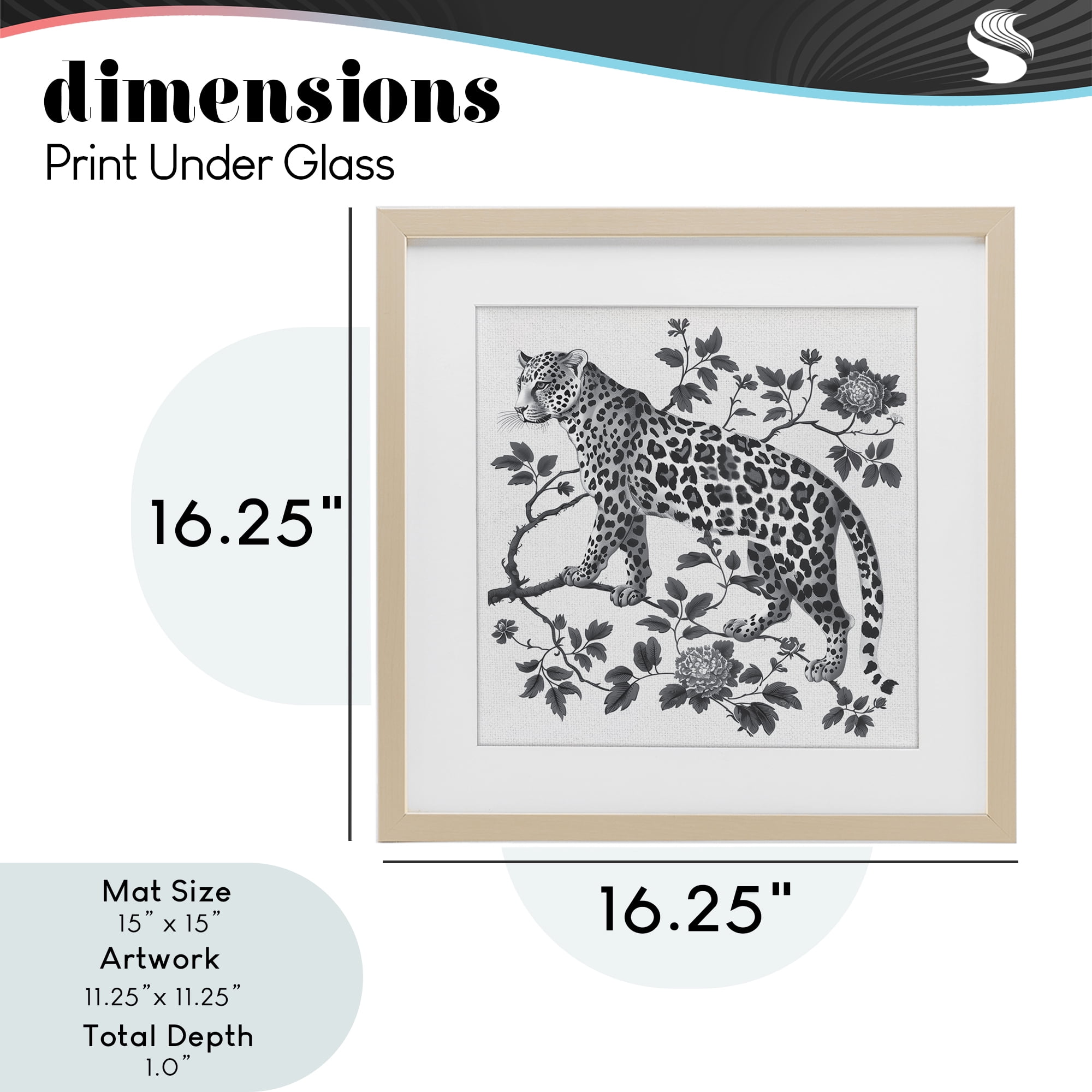 Monochrome Detail Leopard Birch Framed Print Under Glass, design by Lettered and Lined